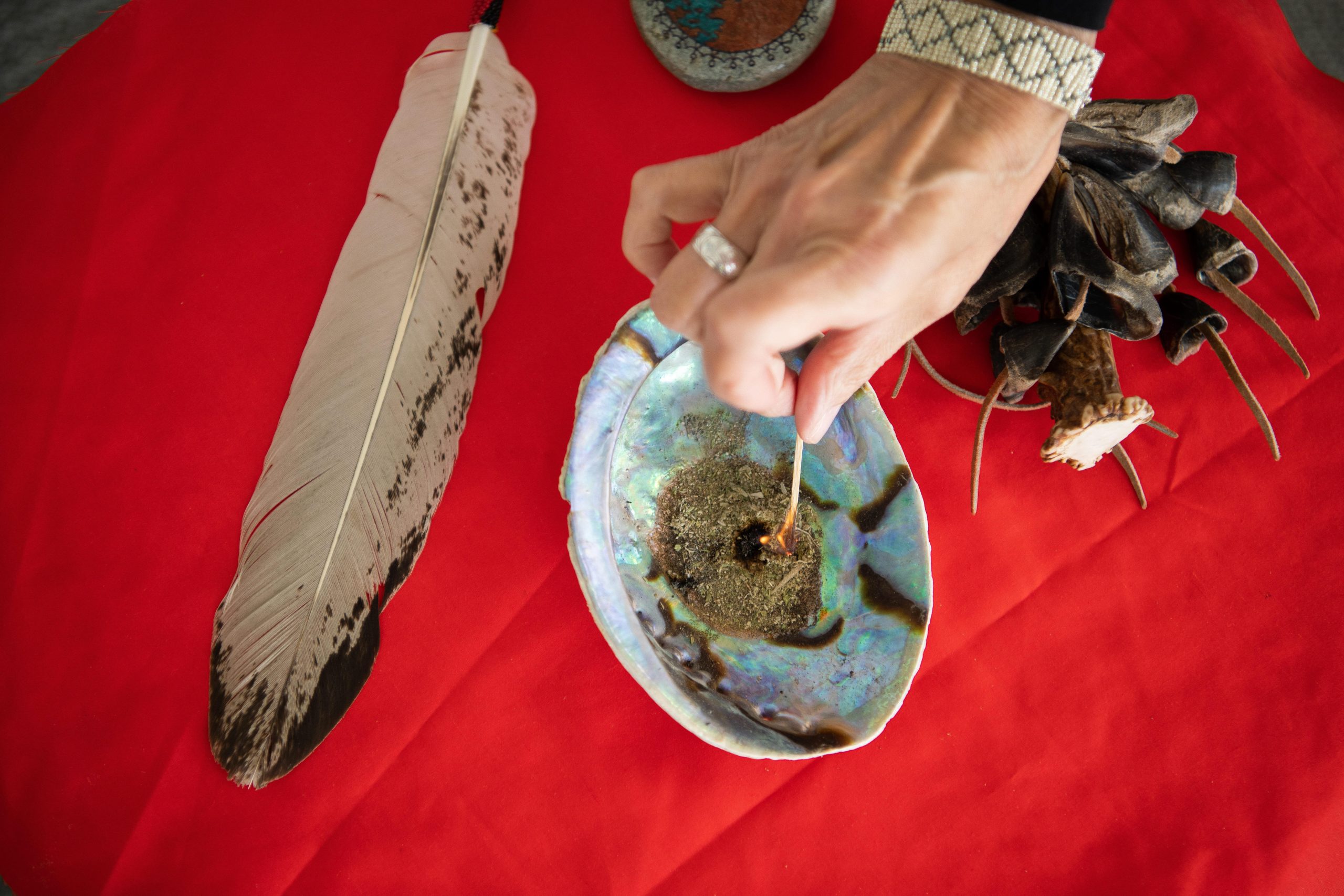 A picture of traditional Indigenous herbs and feather